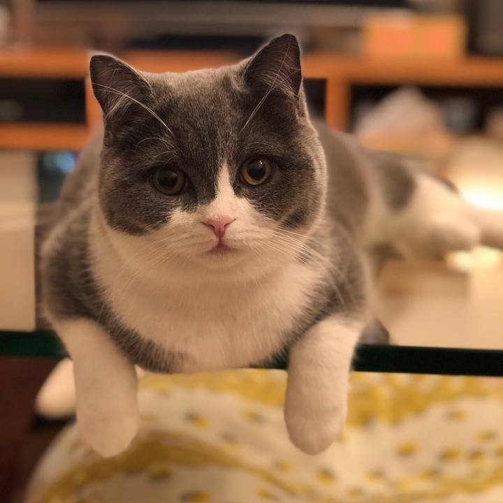 3e623d43 41c7 4b4a 88e6 ba233cb1c6b3 1518099455789