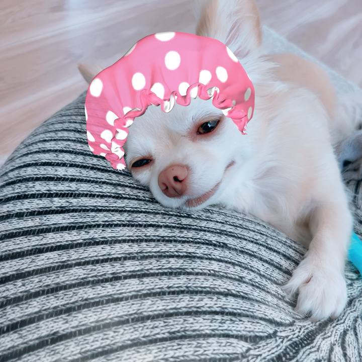 3e6273ea 8637 4e9d 85b6 d1b689ec2bfc 1693996396083