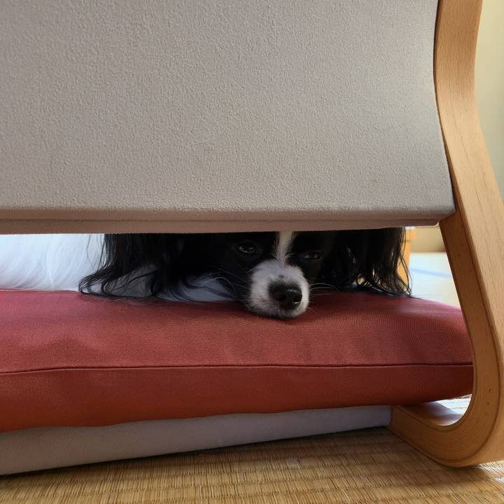 3e628288 75ad 4ebf 9814 b5e1d99570b8 1557130444858