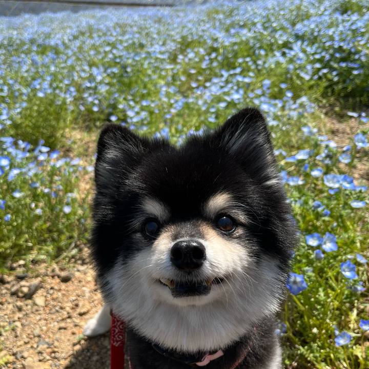 3e62bc10 a4aa 4eae aa6e 9f23ef93ef2d 1683174853450