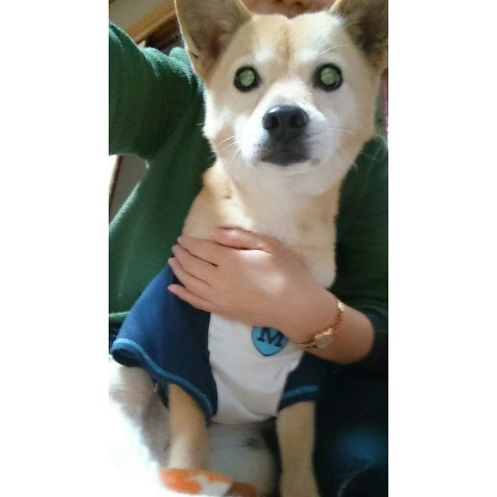 3e62c9f9 a92c 4354 8033 7db76065befe 1521260339271