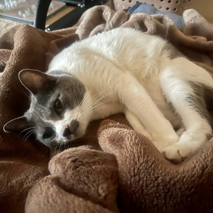 3e62e568 342b 40df ad5a 49d736b5fe6a 1638320017608