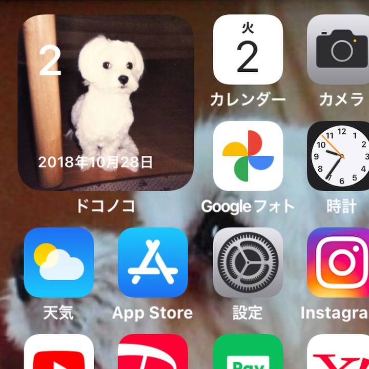 3e62ff0e 2b98 48f0 802d 4e500a053125 1635857153949