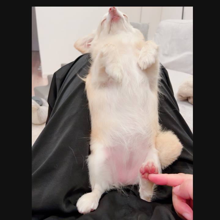 3e6305b9 3984 403f 81e6 d25f6ffc685f 1716121671744