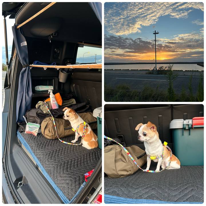 3e63123a eae8 4a7f 8803 842cd95f9c41 1759221460321