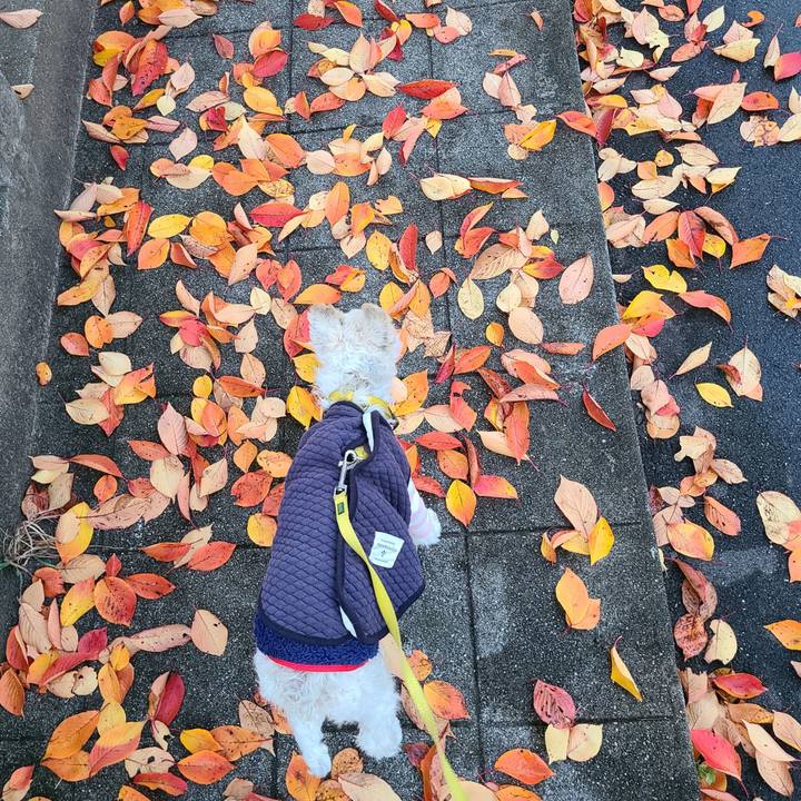 3e631684 a158 4a34 af49 d5a2dc5503cc 1701134761422