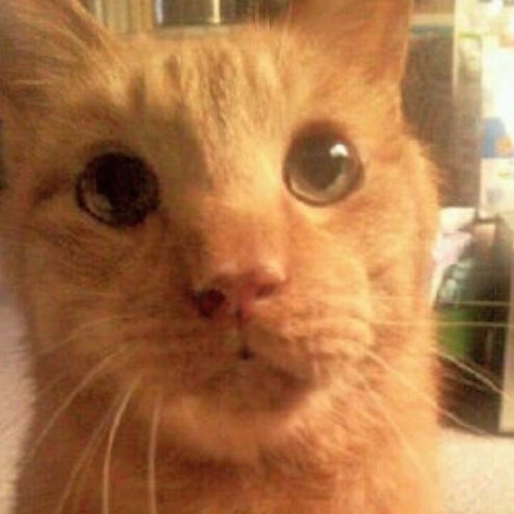 3e631cbe 0388 4e9f aa9a 7dba8e839e23 1685450409089