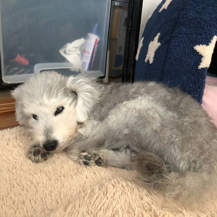 3e632b65 4bb2 443d 8e7c 8a4b8573afca 1635942179721