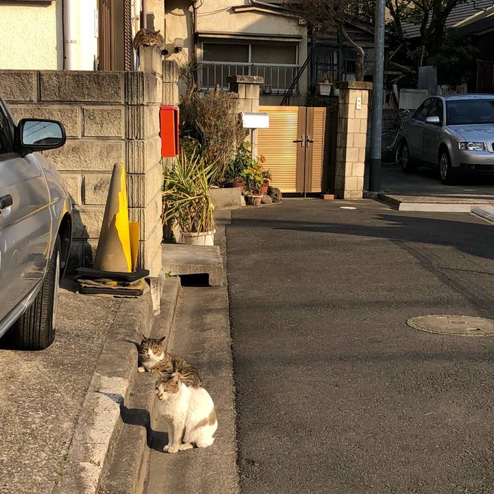 3e6372eb f64e 4c81 8135 a23361571f01 1519719147806