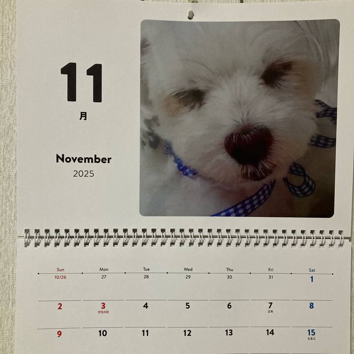 3e63a33d 6ad1 4907 9e21 68d75902bad0 1762869394035