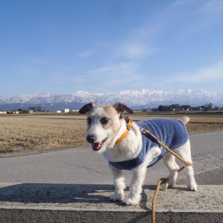 3e64590d 6103 4740 b20b b686f97e9a21 1548838372210