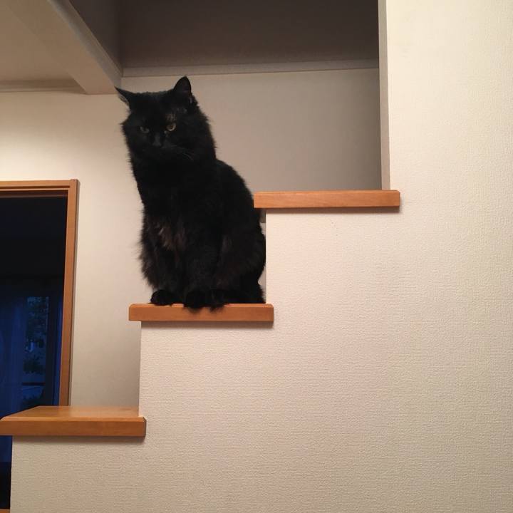 3e645caf 8390 47f6 8112 08bfafad9f53 1530882461293