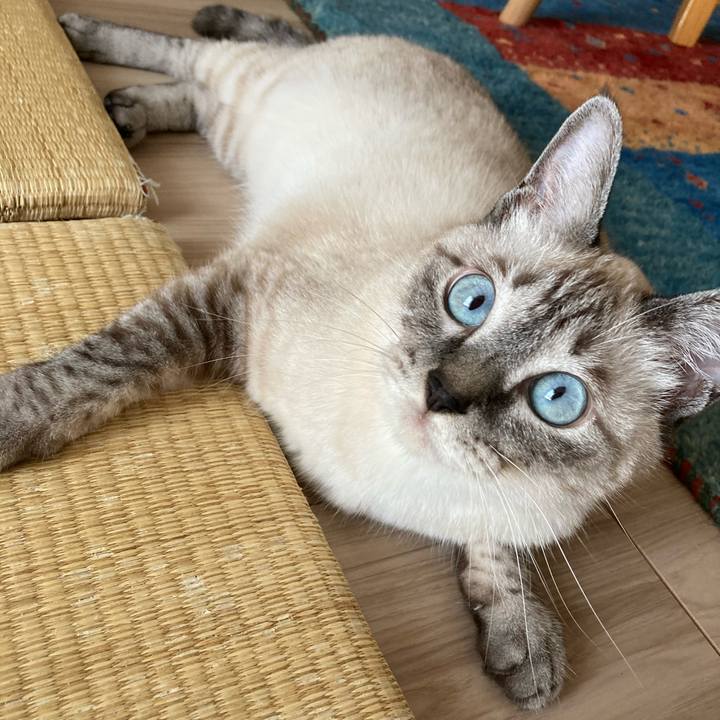 3e648380 e91c 407f 9e03 183649c8812f 1598229690924