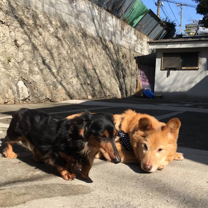 3e64a385 9a81 4734 8fa6 3c2c3f2c4bbf 1553206571449