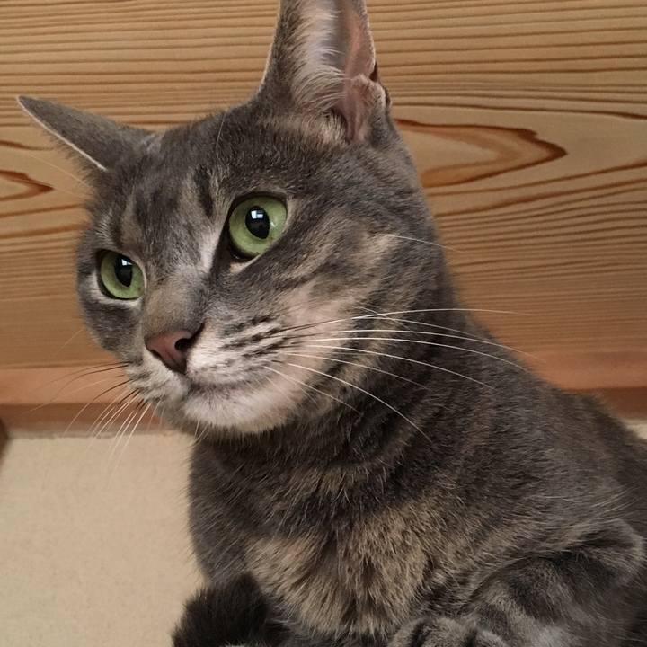 3e64cfd5 bf4b 4f29 89e7 6528c16441e1 1561249691180