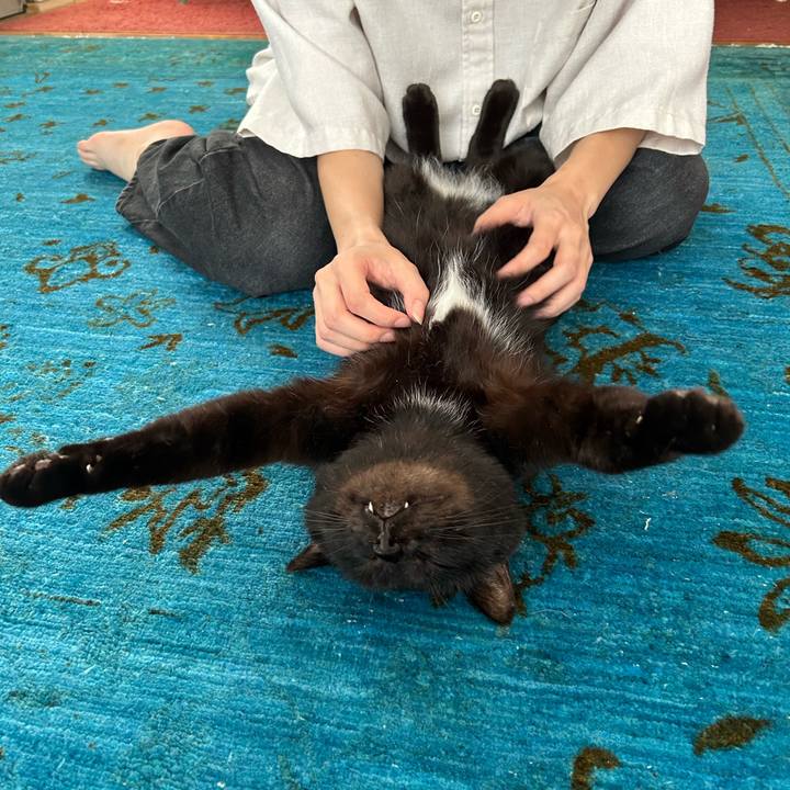 3e64d88d 809e 4046 9f74 a99967414f54 1727311110823