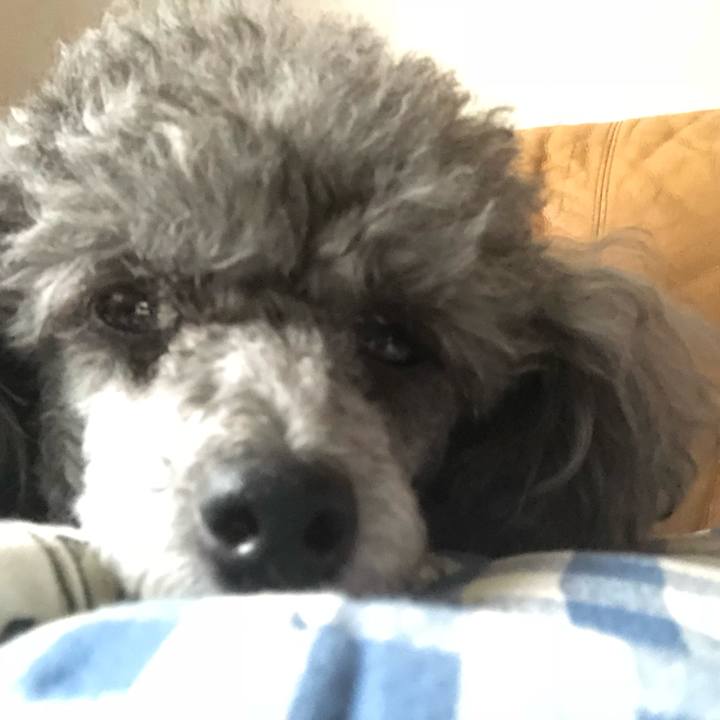 3e64dedb 327a 4634 be61 fa2cce34f40d 1525331978664