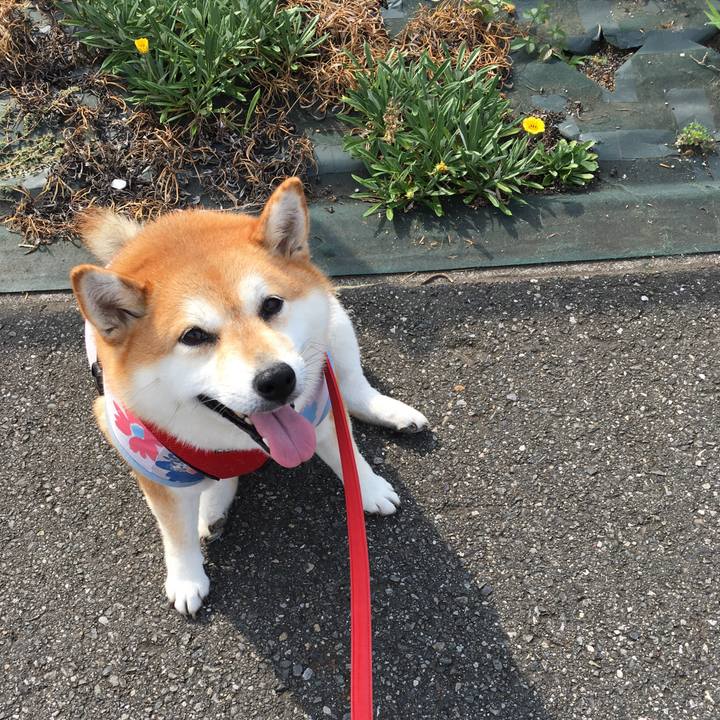 3e64f20c f37a 4853 97d9 8b26d4f8d16b 1596937852803