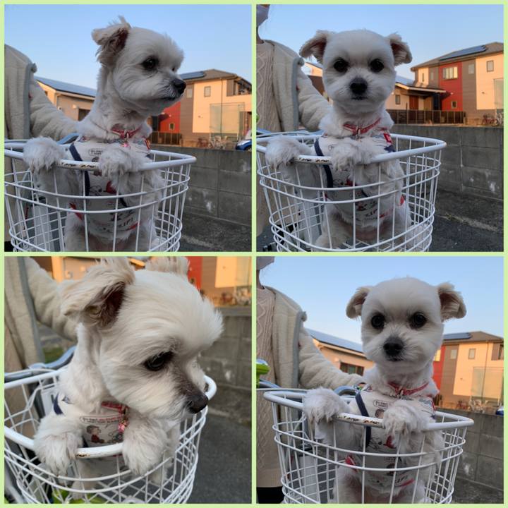 3e64f699 d23d 444d a25f 4fd5deb93c2f 1613819956649