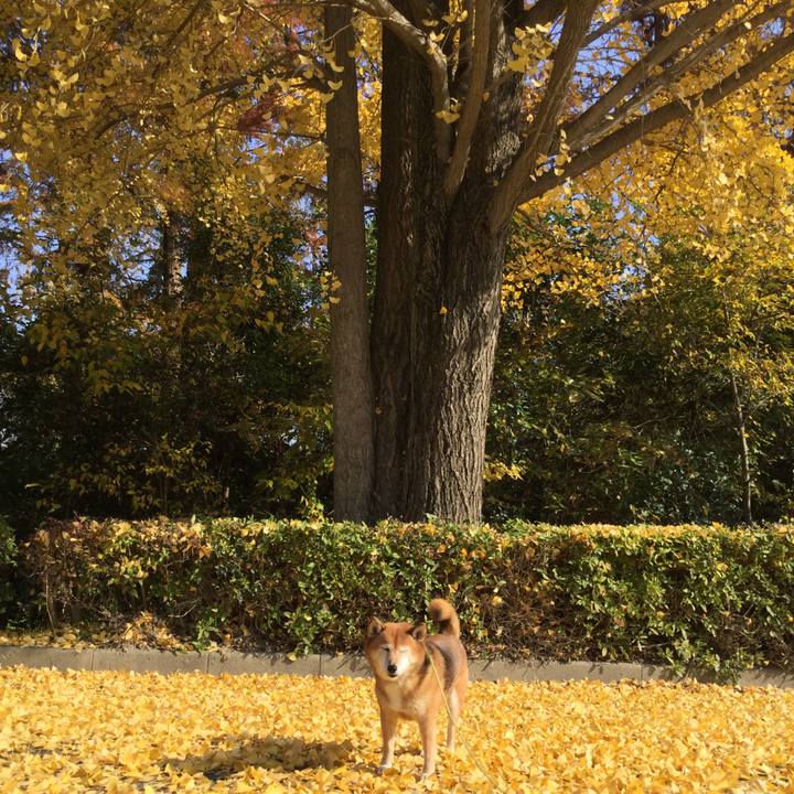 3e652f61 9139 47c3 b6f5 ba698e6d3592 1605697677659