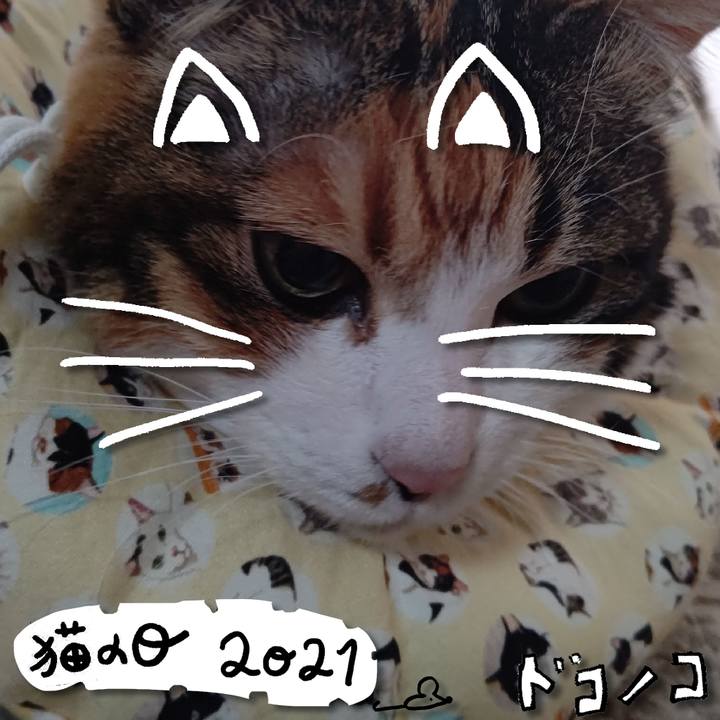 3e65744a 5094 4ba2 904e cf7c4b493cc1 1613965405610