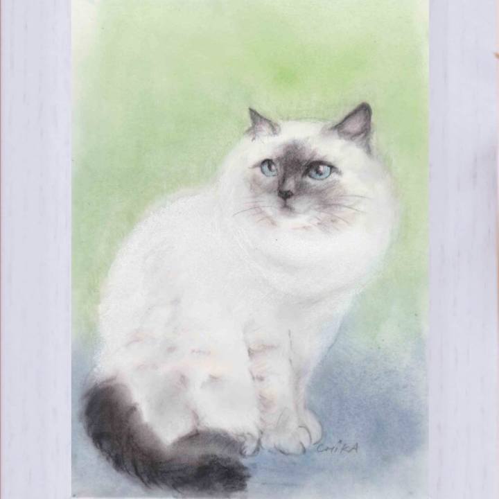 3e657bfd fc30 49d4 83fc fb3e543cc2b2 1583334296706