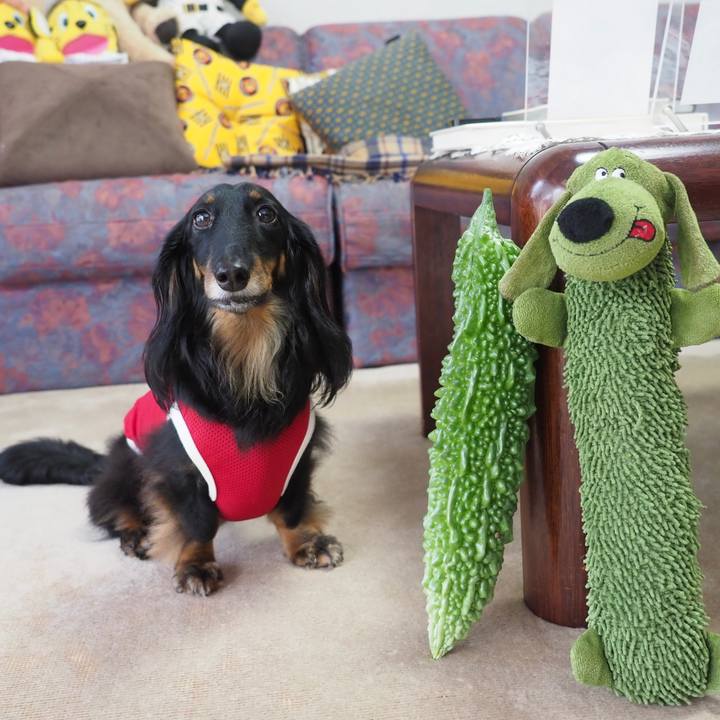 3e65b66b 3f56 459c 8912 c52b13143a49 1626421073917