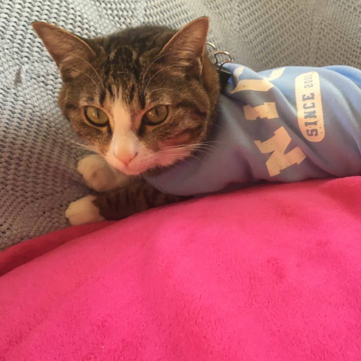 3e65ca9a ff76 4fef bcf7 b4e0d1578613 1677369819283