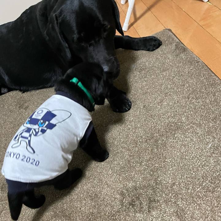 3e6627ca a6b7 49a3 b767 89ff548e11d7 1627478488924