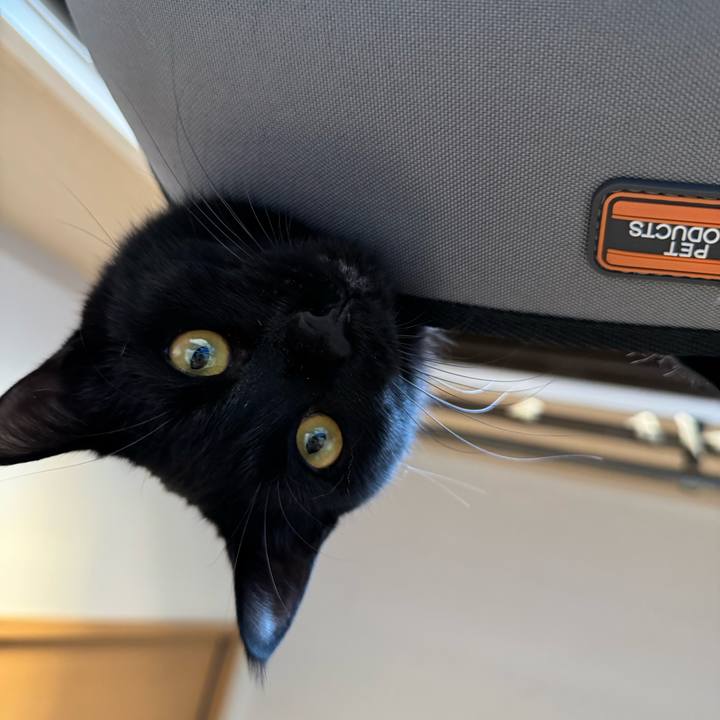 3e662bac bbbf 451a a967 f4d34781b67d 1732931376869