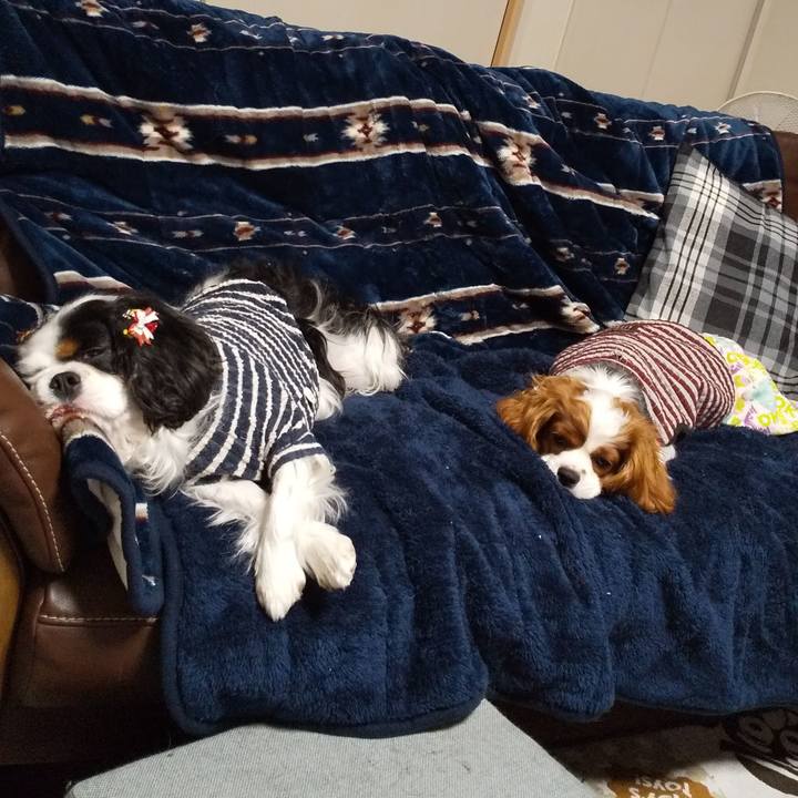 3e6648c5 614a 4f82 b5e5 e19b50c4f705 1576250994404