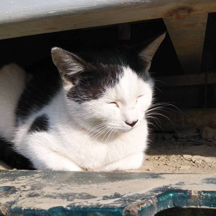 3e66558f d656 46ad 9fdd bb7d92002d69 1581638415447