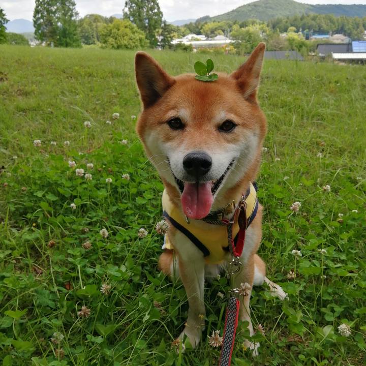 3e667cb7 9826 4318 bde0 f5a1637f476e 1622696548049