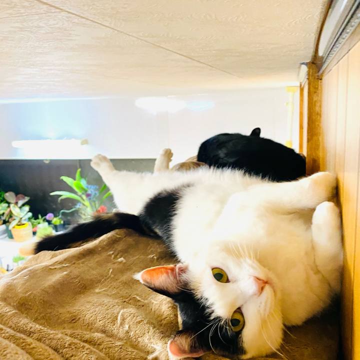 3e66a371 693c 48ad 8e34 f1f3a02e2290 1677586479738