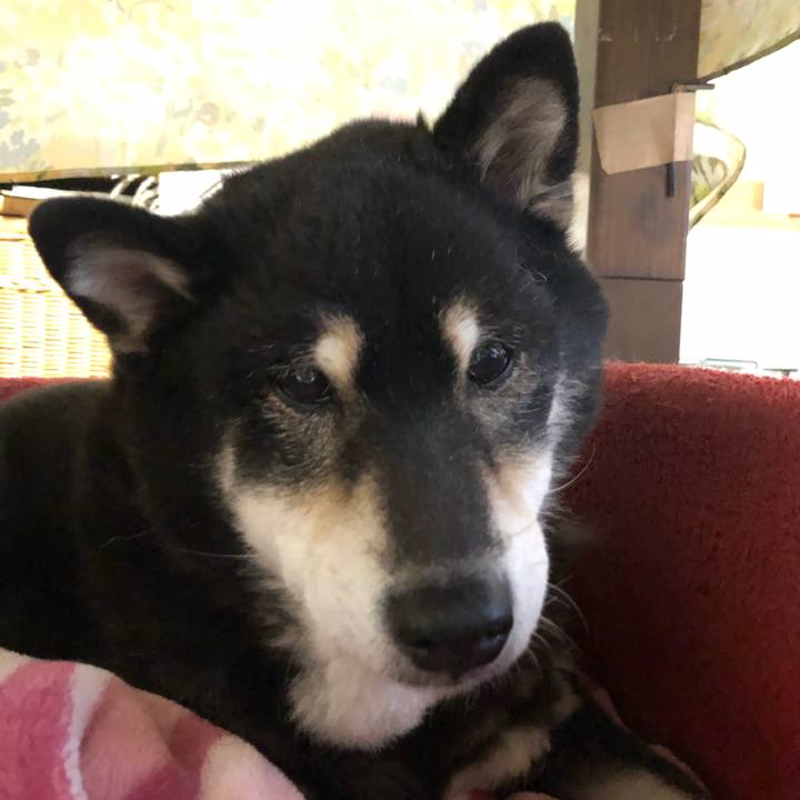 3e66d2e3 011f 445f b861 f09efb3dee47 1580971464653