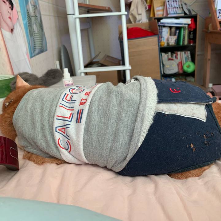 3e66ede2 99d0 47da 9348 12b45b0a4f88 1615679923531