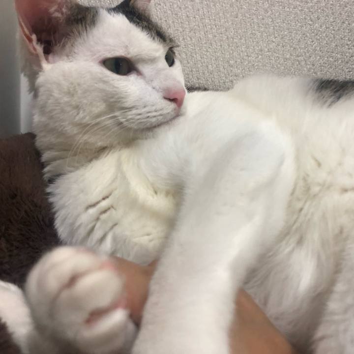 3e670320 63bf 4cc6 a8d5 db88a1f119da 1590622653605