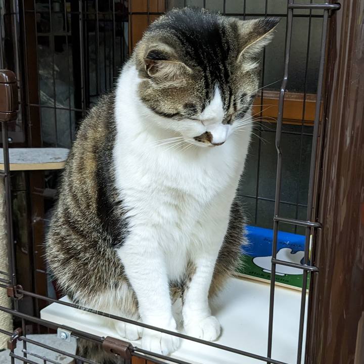 3e6708bb 002b 471d b214 3c81f8f52b63 1679918706909