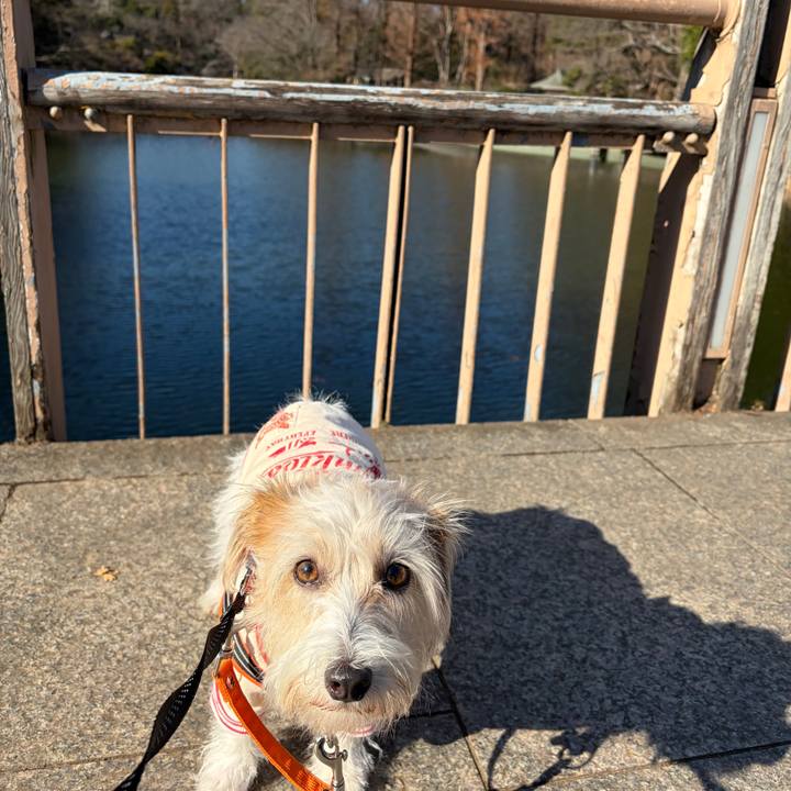 3e670916 f951 4e65 8d9b e60580373c01 1766983030141