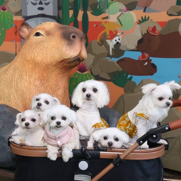 3e674f4a 95db 4022 ab3a fade9142983a 1772971173699