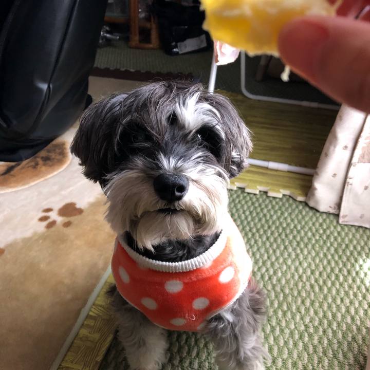 3e6754ae 665f 48c7 bb03 64fb64dc6282 1514698407265