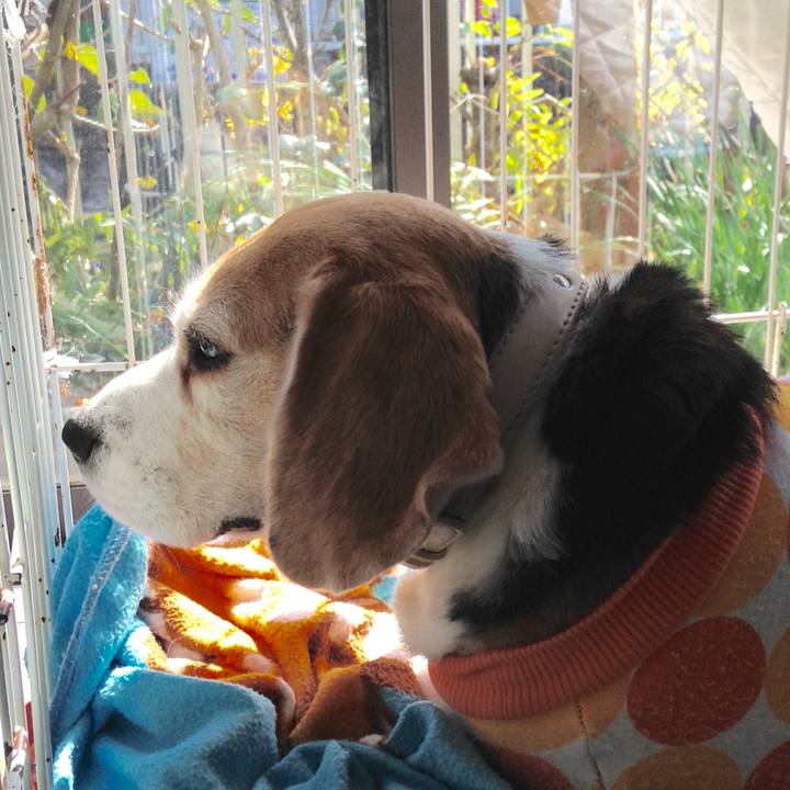 3e678d9d 8542 40d5 bccf 91bcb8dce7b4 1743033973080