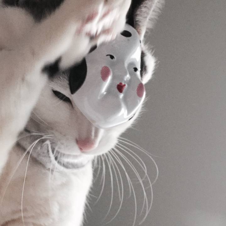 3e679799 ce88 4cd0 8450 fb0f375cd234 1517645813762