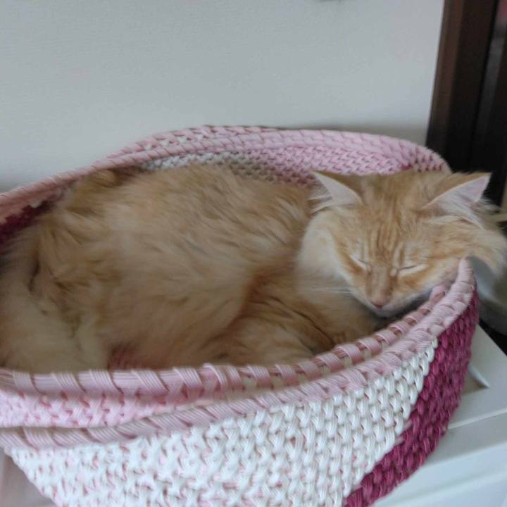 3e679ccf 0747 4f8a b198 b5d675cac16f 1690083179744