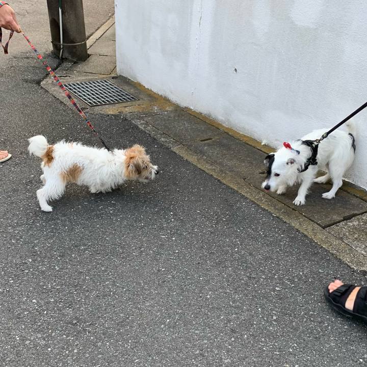 3e67b7a0 6701 4ef6 9c05 21a3f5c222fb 1656754494202