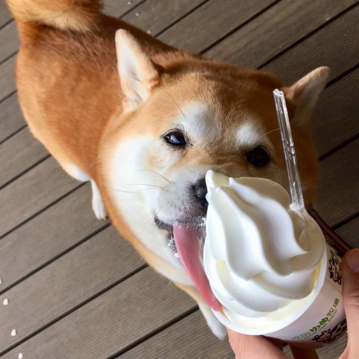 3e67bd4d 35a8 43da 959f 9ec7e64c85da 1573119336410