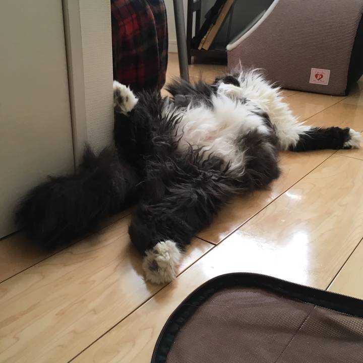 3e67dc4e d0b0 476f be32 7ad80b420640 1532486262705