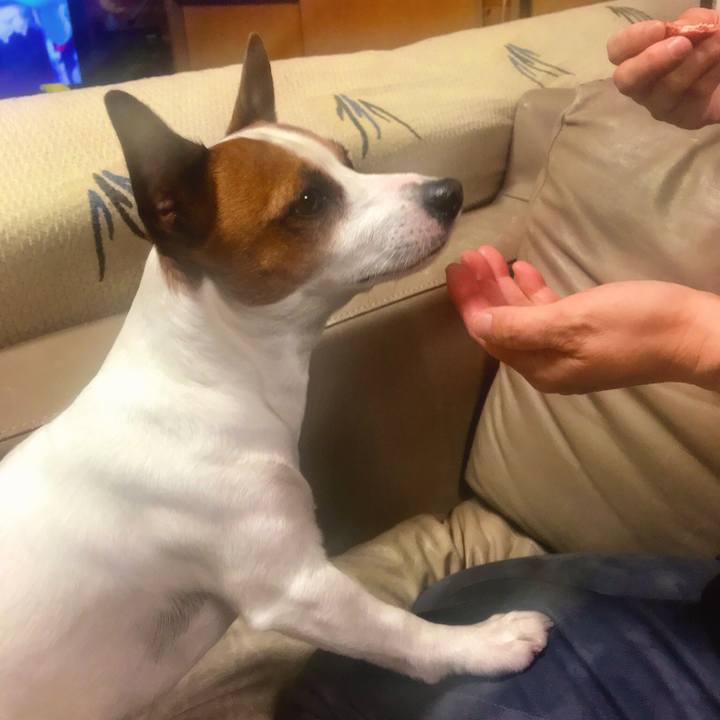 3e67f448 82ce 4c88 9c88 7eafc1a762da 1524141263548