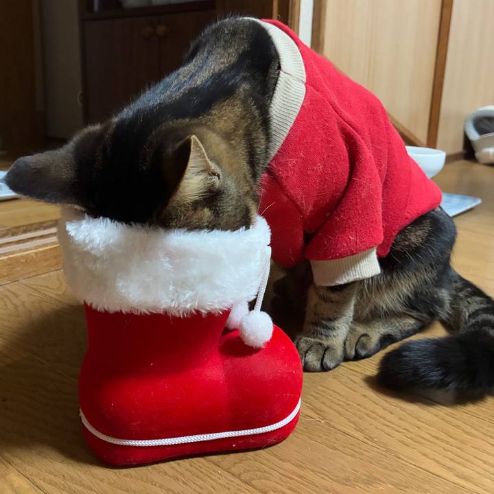 3e6805bc bb52 46b4 9346 c507aae0005c 1766628291142