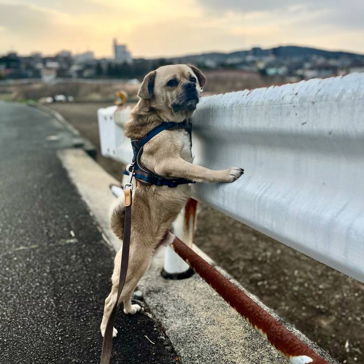 3e680ca6 3dd5 42a8 8fd1 c4dddaa5a99b 1773390028801